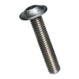 BN 2098 Hex socket button head cap screws with collar partially / fully threaded