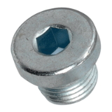 BN 45, BN 20441 Hex socket screw plugs pipe thread