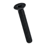 BN 2110 - Hex socket flat countersunk head screws, fully threaded (DIN 7991; ~ISO 10642), stainless steel A2, blackened