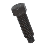 BN 1363 - Hex set screws with small wrench size with full dog point (DIN 561 B), cl. 8.8, black