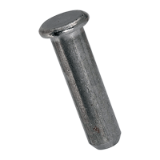 BN 485 Clevis pins without hole for fork heads